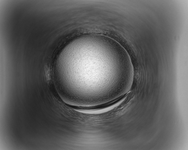 X0000088671490200706071449