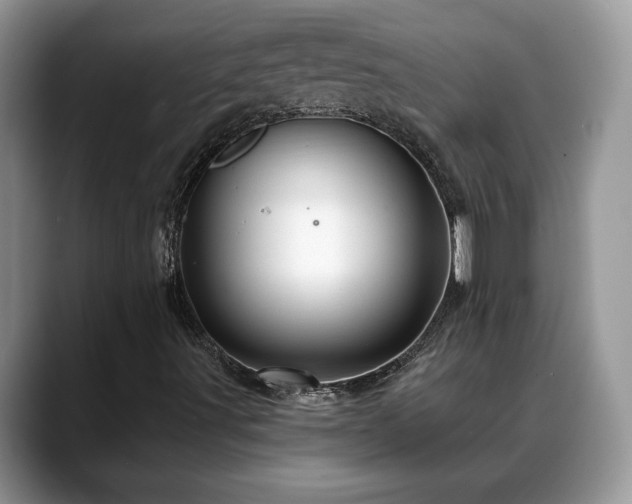 X0000088671491200706071449