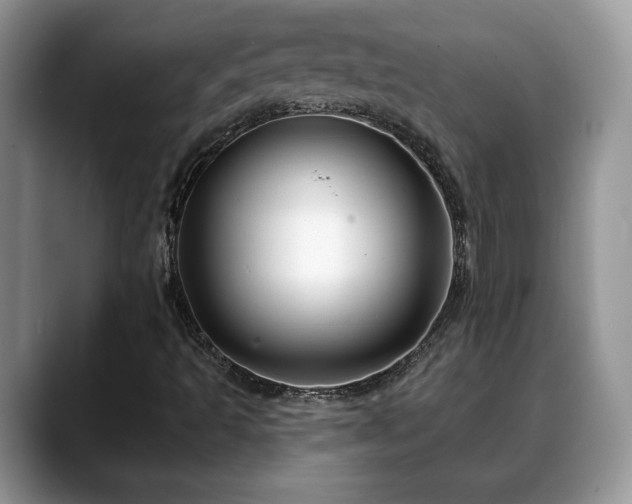 X0000088671493200706071449