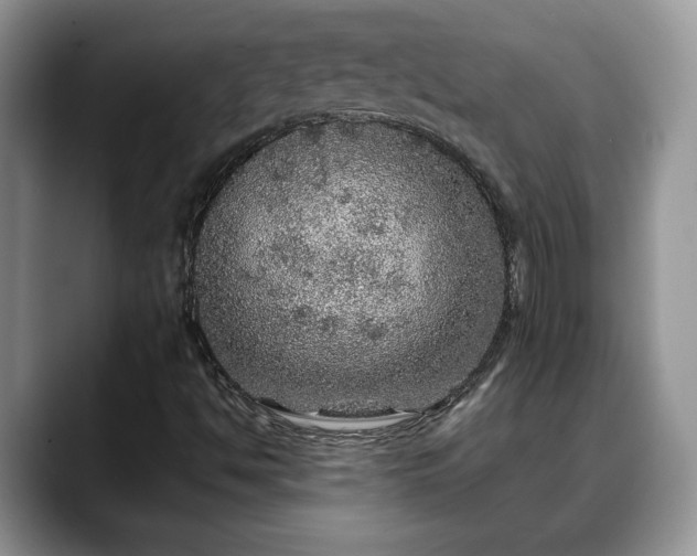 X0000088671494200706071449