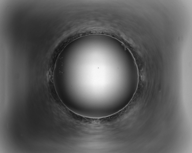X0000088671495200706071449