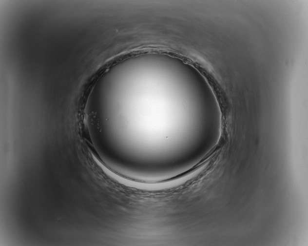X0000088671496200706071449