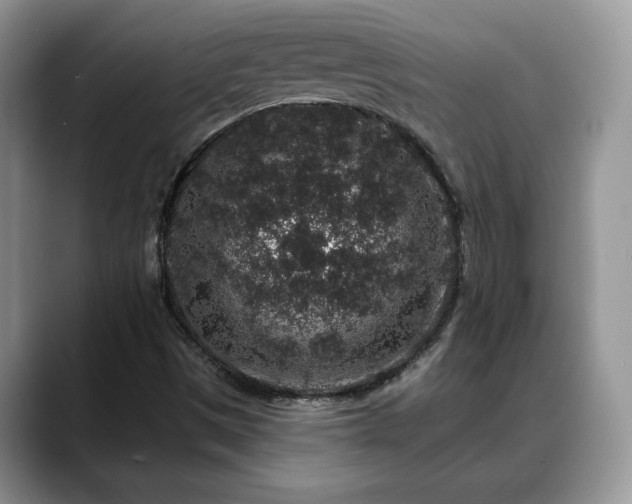 X0000088671497200706071449
