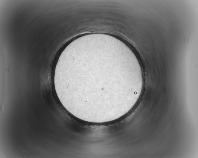 X0000088671498200706071449