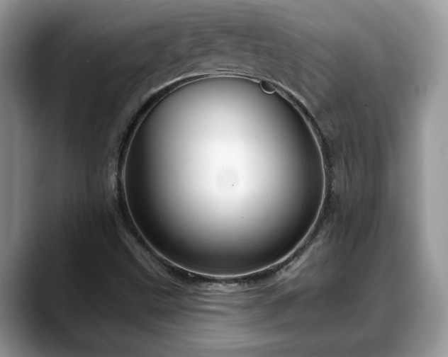X0000088671499200706071449
