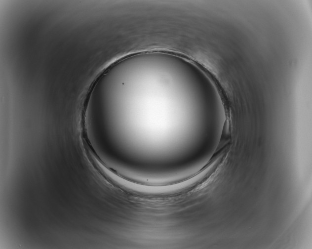 X0000088671500200706071449