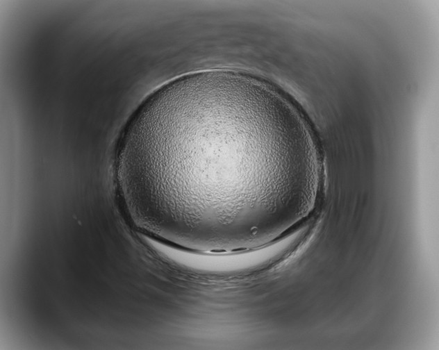 X0000088671501200706071449