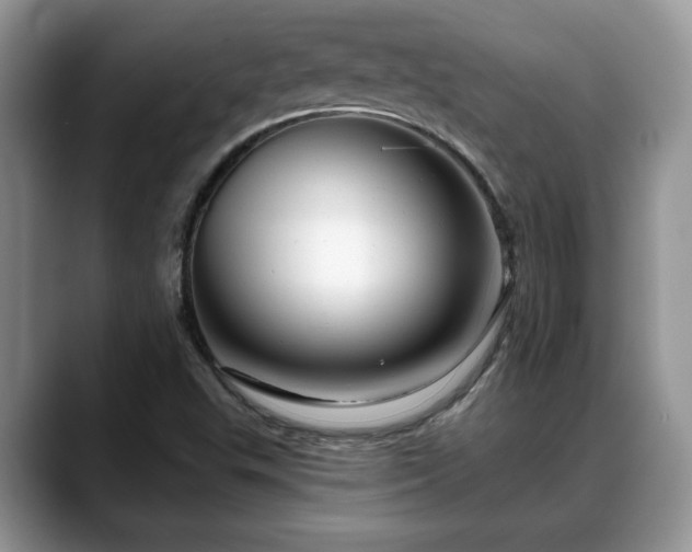 X0000088671503200706071449