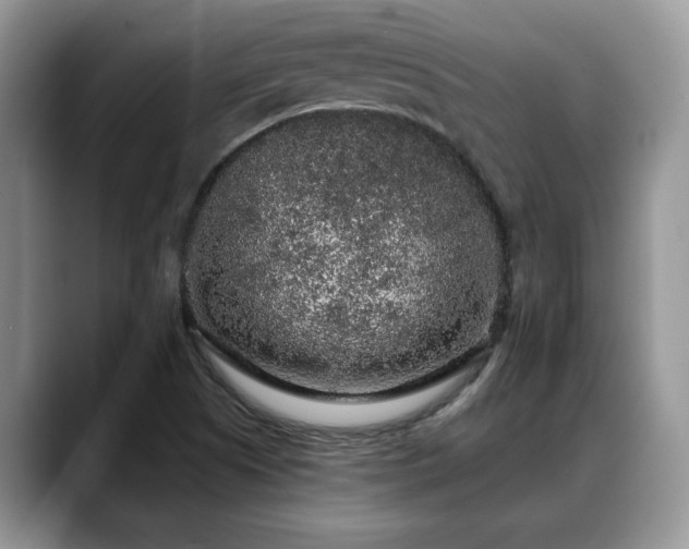 X0000088671505200706071449