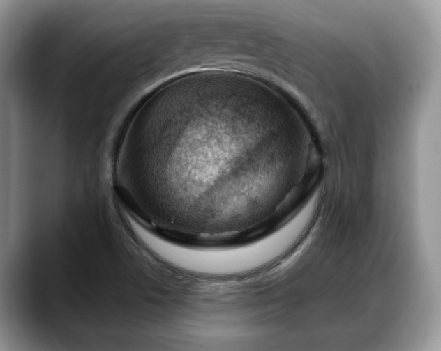 X0000088671506200706071449