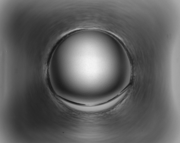 X0000088671507200706071449