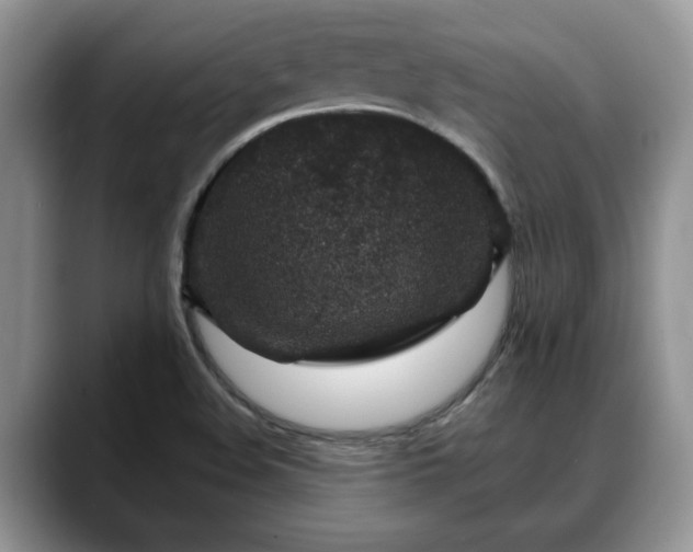 X0000088671508200706071449