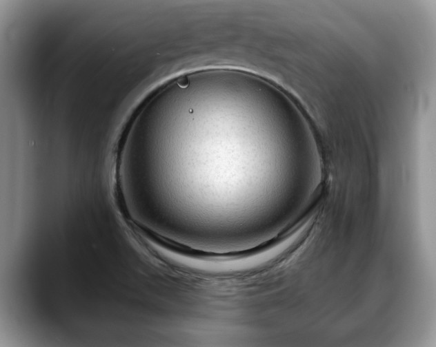 X0000088671511200706071449