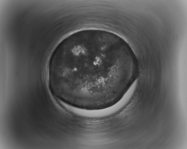 X0000088671515200706071449