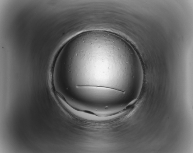 X0000088671517200706071449