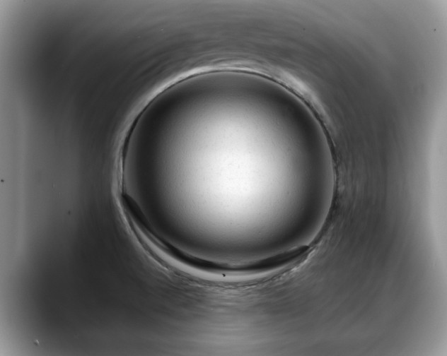 X0000088671520200706071449