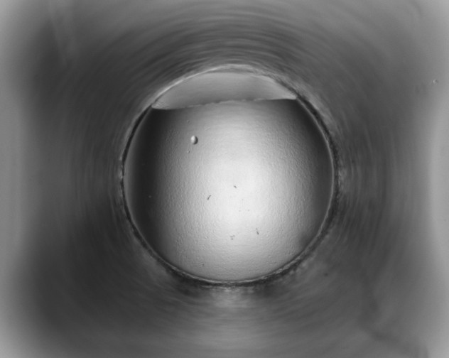 X0000088671521200706071449