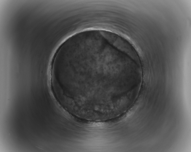 X0000088671522200706071449