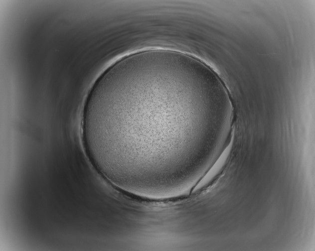 X0000088671523200706071449
