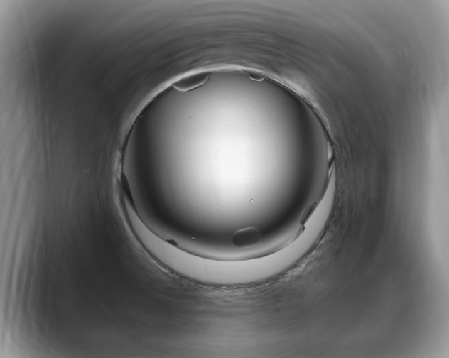 X0000088671524200706071449