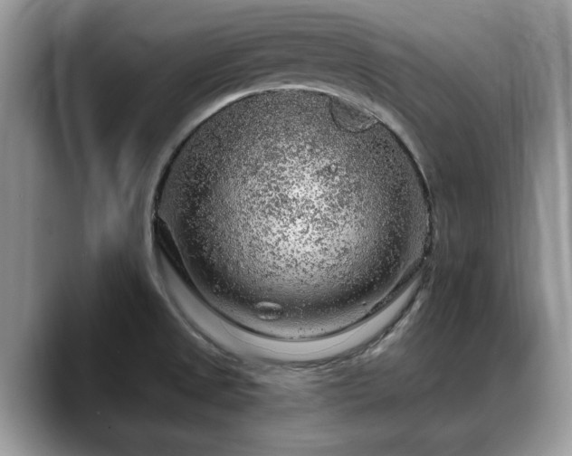 X0000088671525200706071449
