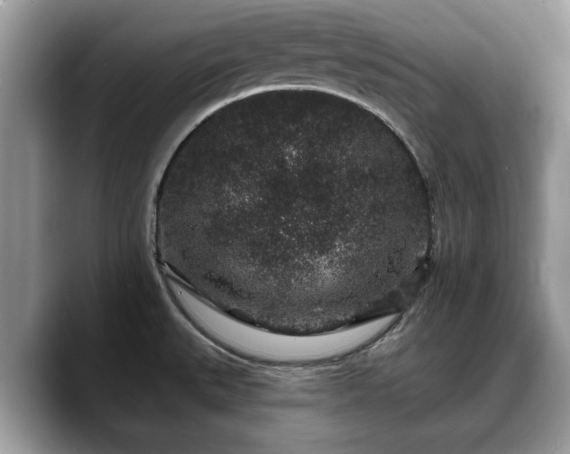 X0000088671527200706071449