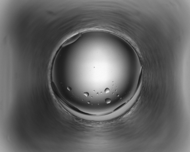 X0000088671530200706071449