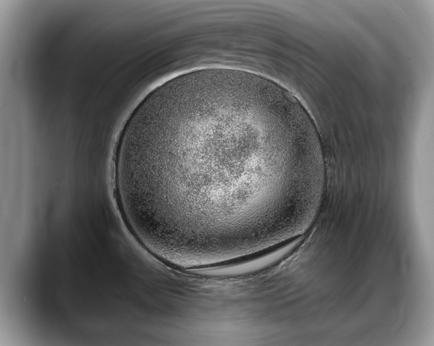 X0000088671531200706071449