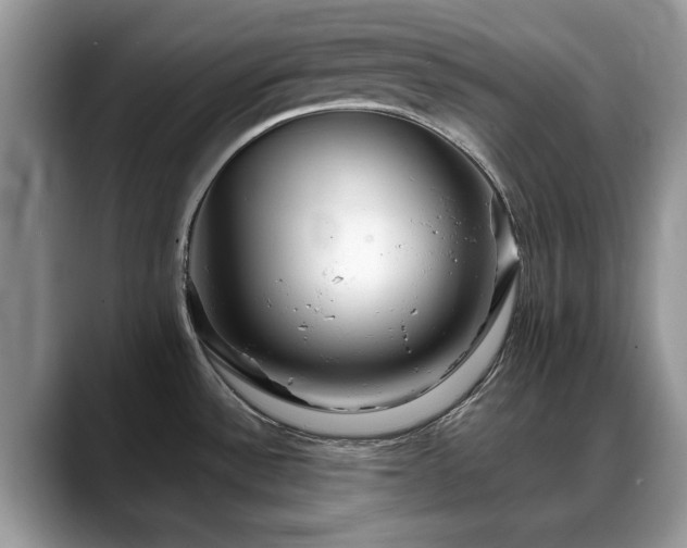 X0000088671532200706071449