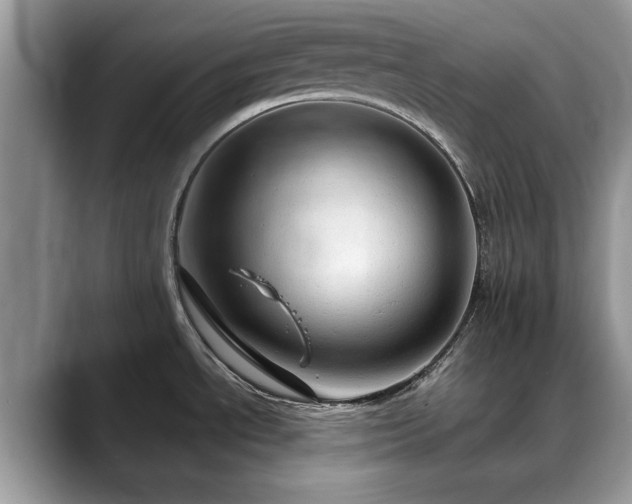 X0000088671534200706071449