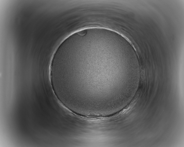 X0000088671535200706071449