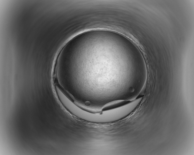 X0000088671536200706071449