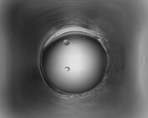 X0000088670003200706141345