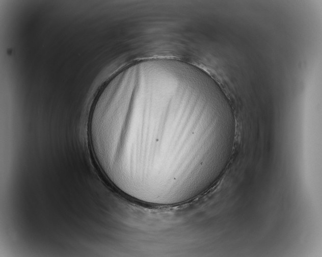 X0000088670004200706141344