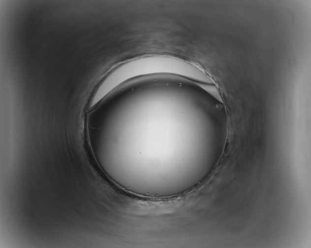 X0000088670005200706141344