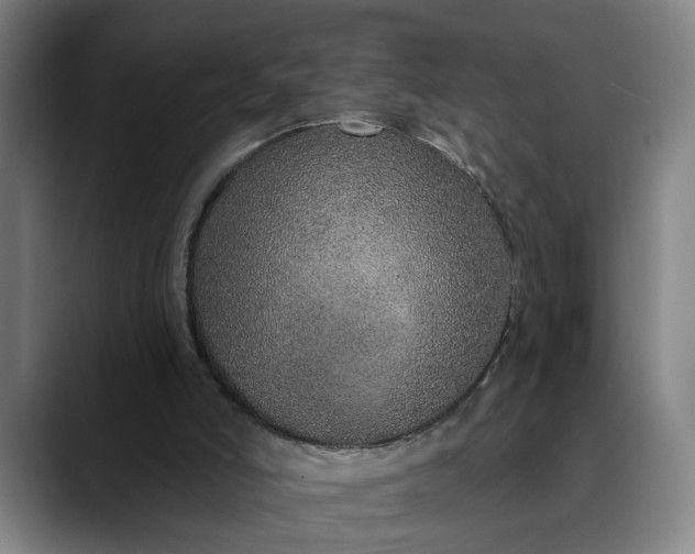 X0000088670006200706141344