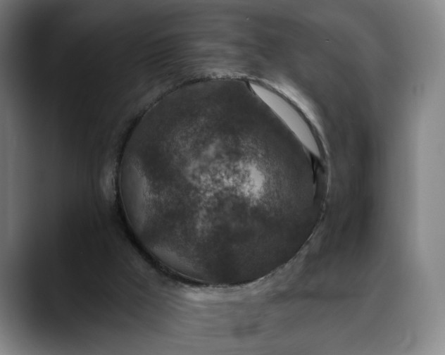 X0000088670009200706141344
