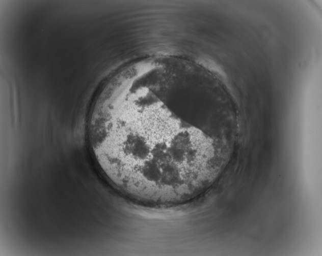 X0000088670012200706141344