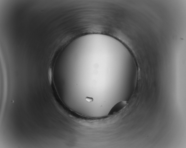 X0000088670013200706141344