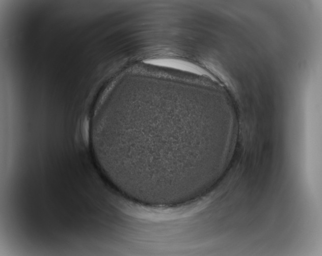 X0000088670014200706141344