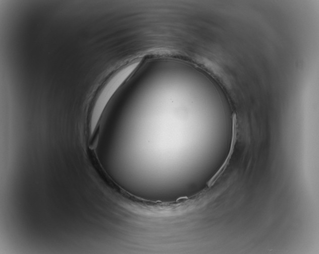 X0000088670015200706141344