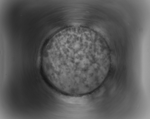 X0000088670016200706141344