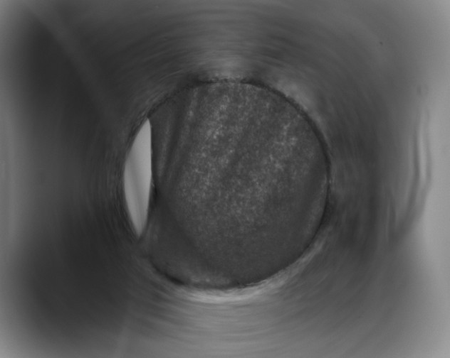 X0000088670017200706141344