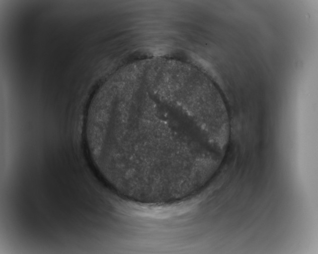 X0000088670018200706141344