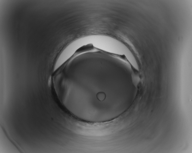 X0000088670019200706141344