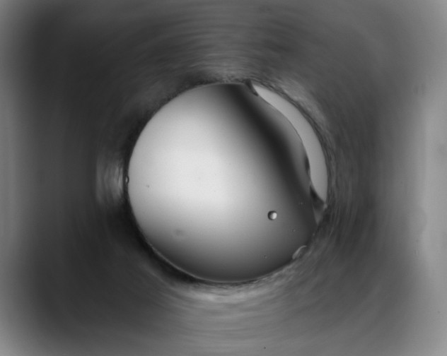 X0000088670021200706141344