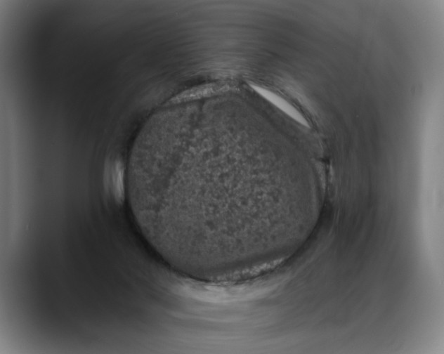 X0000088670022200706141344
