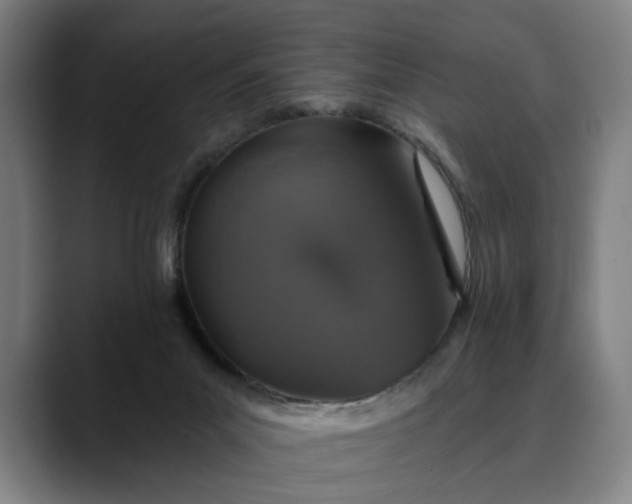 X0000088670023200706141344