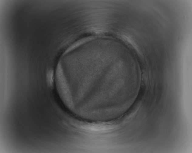 X0000088670024200706141344