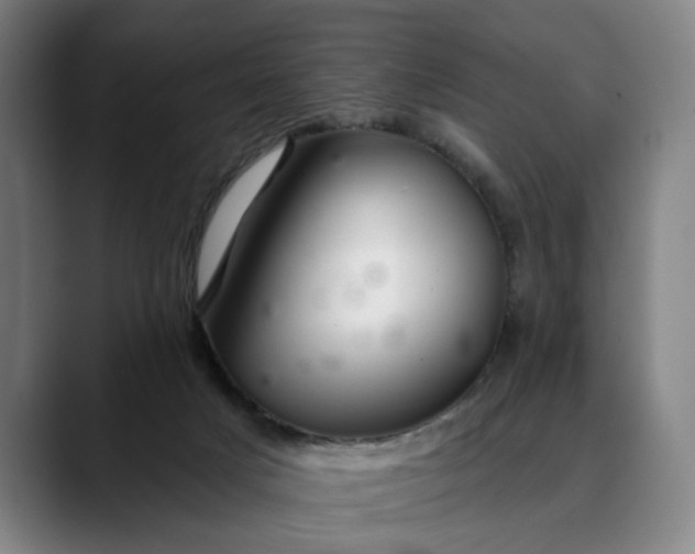 X0000088670025200706141344